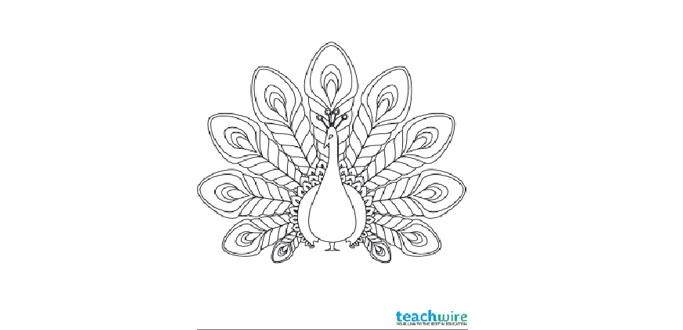 6 Patterned Animal Colouring Pages | Teachwire Teaching Resource
