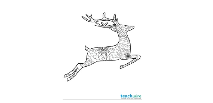 6 Patterned Animal Colouring Pages | Teachwire Teaching Resource