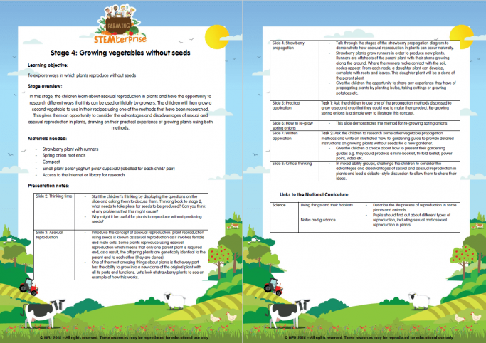 Enterprise activities for students image