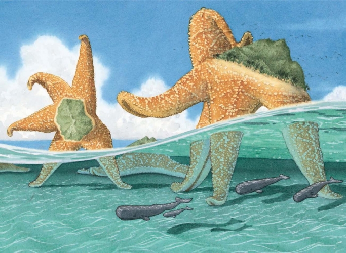 KS2 Book Topic In Flotsam, An Undersea World Lets Pupils Explore the