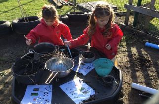 Early Years maths – make your own subitising soup!