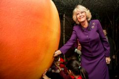 Duchess of Cornwall Appointed Patron of Roald Dahl 100 Celebrations