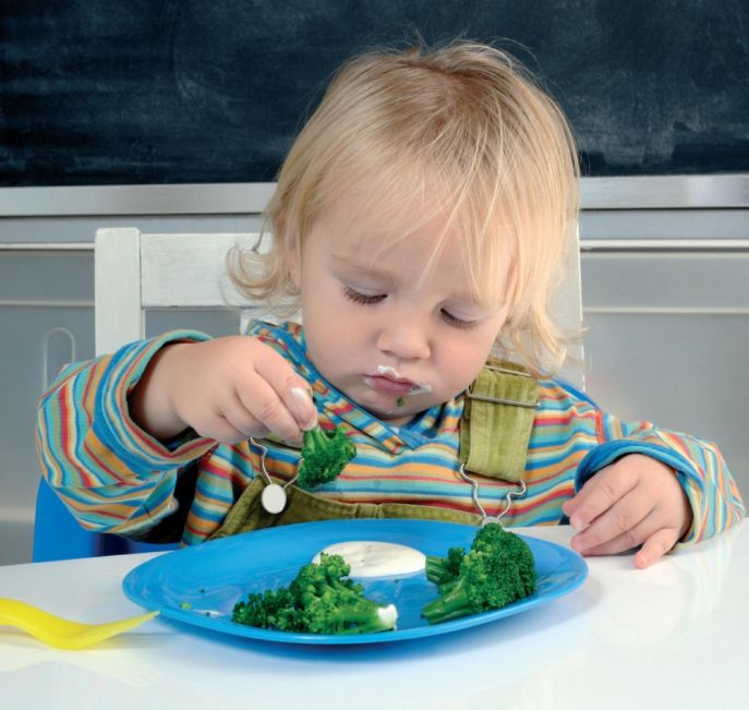 “...But I Don’t Like It!” – Effective Strategies For Managing Fussy Eaters