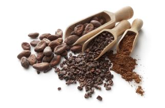 The history of chocolate – Give your primary pupils a lesson in cocoa, Cortez and Columbus