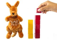 Number bonds lesson plan – How you can teach them with a kangaroo puppet