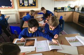 Visual literacy – Use pictures to help pupils understand and communicate meaning