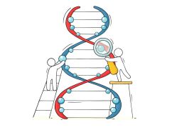 Teens, genes and means – Why are we still debating whether genetics affect educational outcomes?