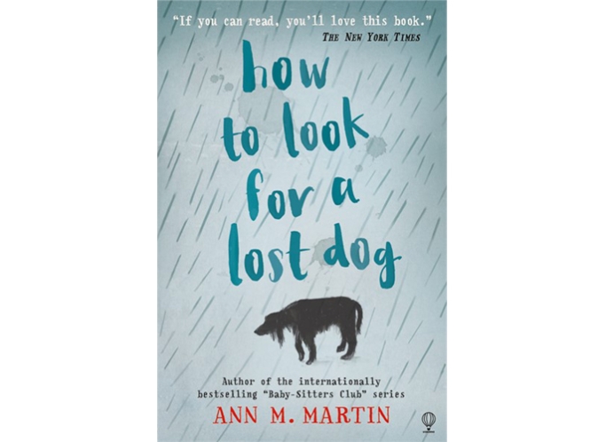 Book Review: How to look for a lost dog