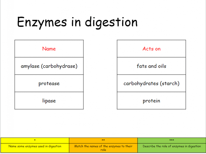 Enzymes PowerPoint and Worksheet for KS3 Science | Teachwire Teaching