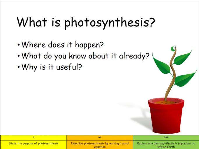 [View 50+] 49+ Photosynthesis Worksheet Biology Pictures PNG