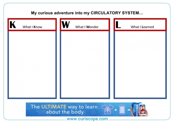 Know Wonder Learn Chart