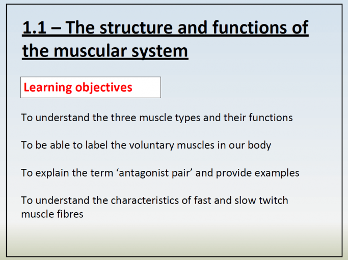New Specification KS4/GCSE PE Muscular System – PowerPoint and Worksheet Resources