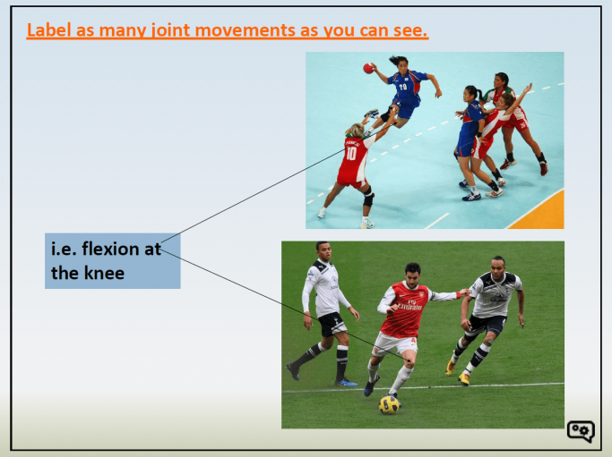 New Specification KS4/GCSE PE Muscular System – PowerPoint and Worksheet Resources