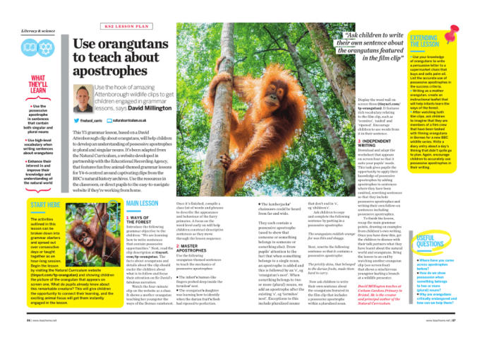 Possessive apostophe KS2 – Use orangutans and David Attenborough to teach possessive apostrophes in Year 5