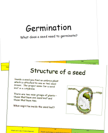 Seed dispersal PowerPoint and worksheet for KS3 science