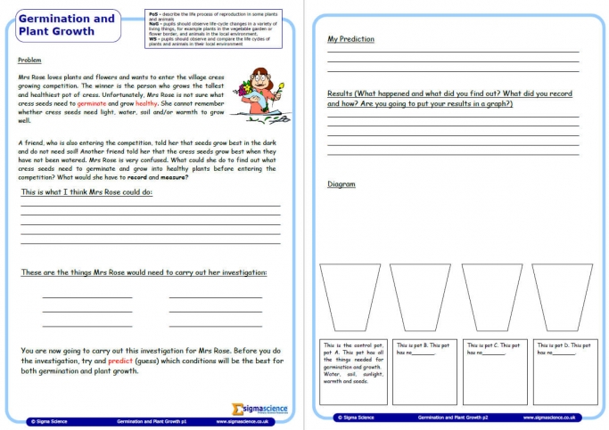 Germination And Plant Growth Worksheet Cress Growing Activity For Year 5 Science Teachwire Teaching Resource