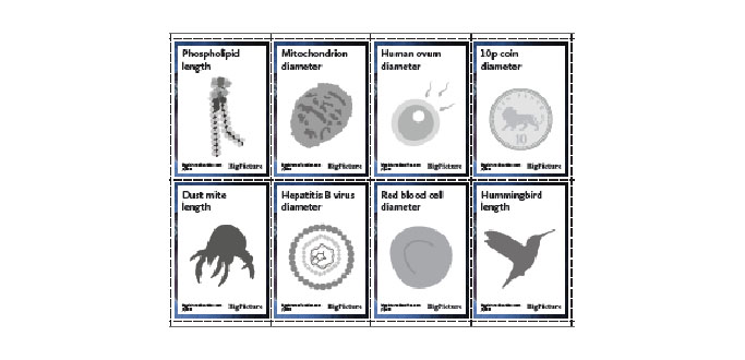 Relative Size – Astrobiology Activity for KS3 and KS4