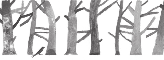 Anna And The Swallow Man Reading Notes – Literacy Resource For KS2/KS3 English