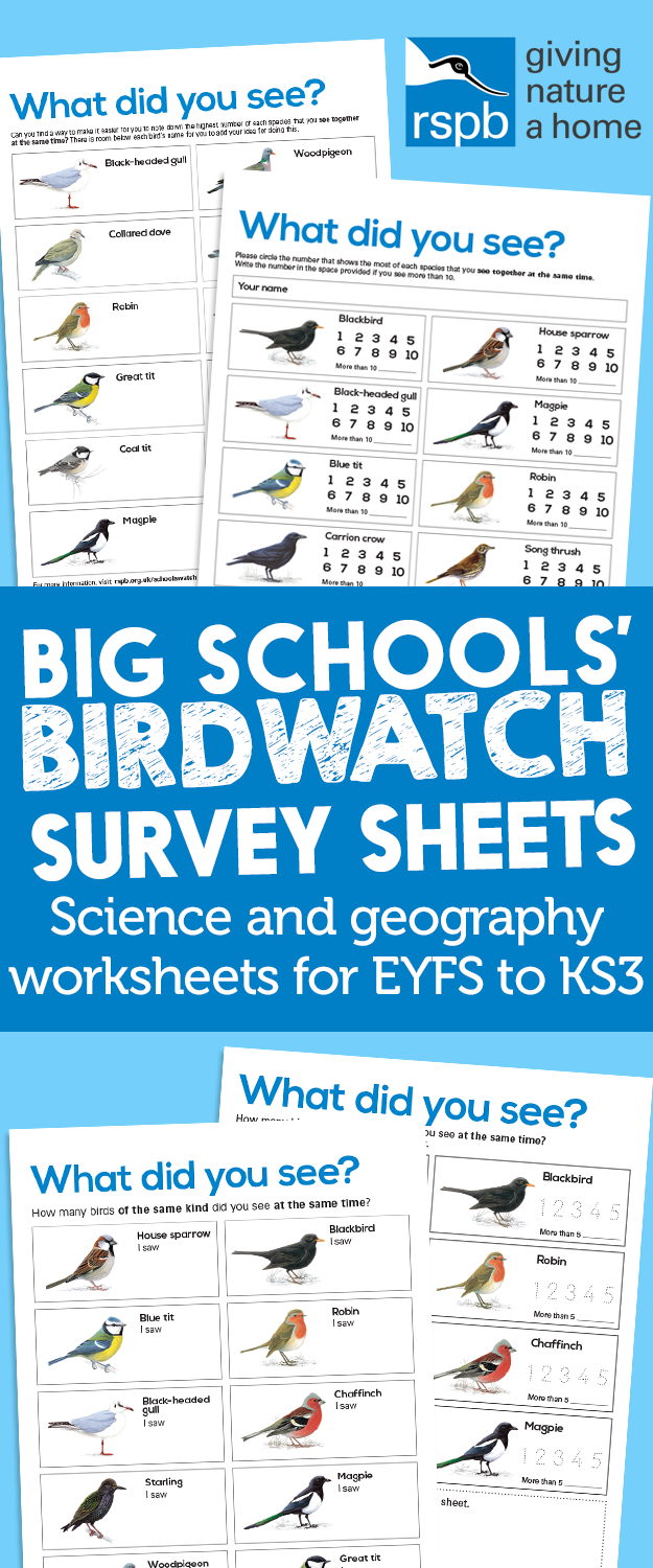 worksheet Ks3 Geography Revision Worksheets workbooks ks3 geography revision worksheets free printable big schools birdwatch survey sheets science and worksheets