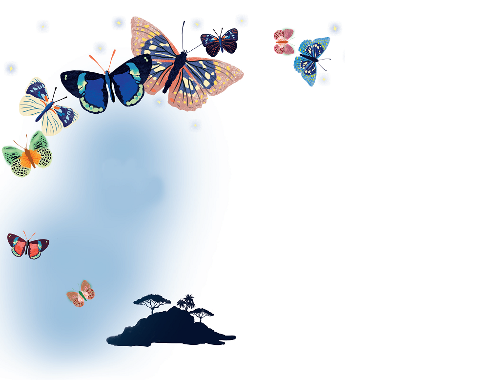 KS2 English Book Topic The Island at the End of