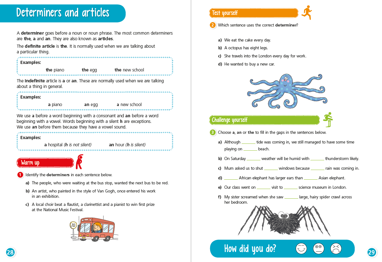 Y4 Grammar and Punctuation: Determiners and Articles – English Resource for KS2