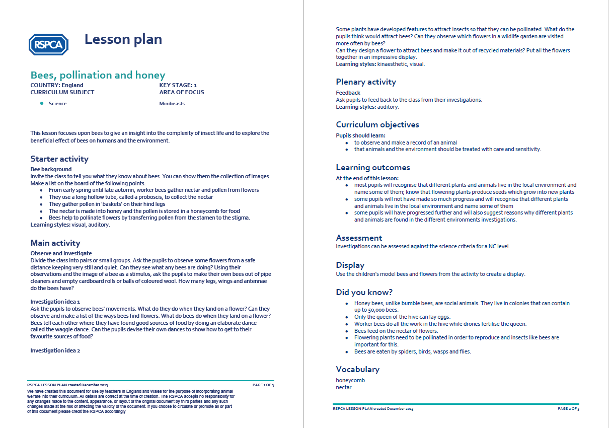 Rspca Minibeasts Ks1 2 Lesson Plan Bees Pollination And Honey Teachwire Teaching Resource