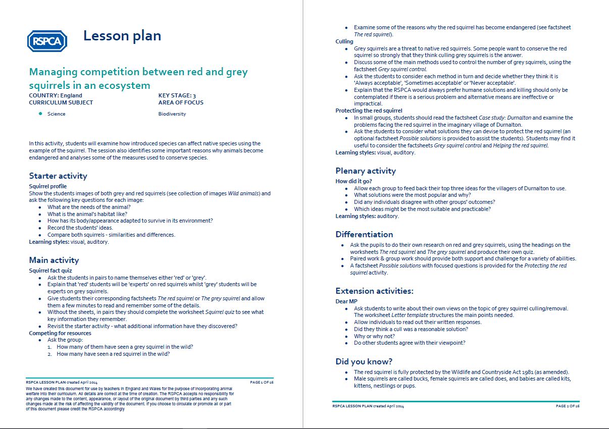 Business plan template image