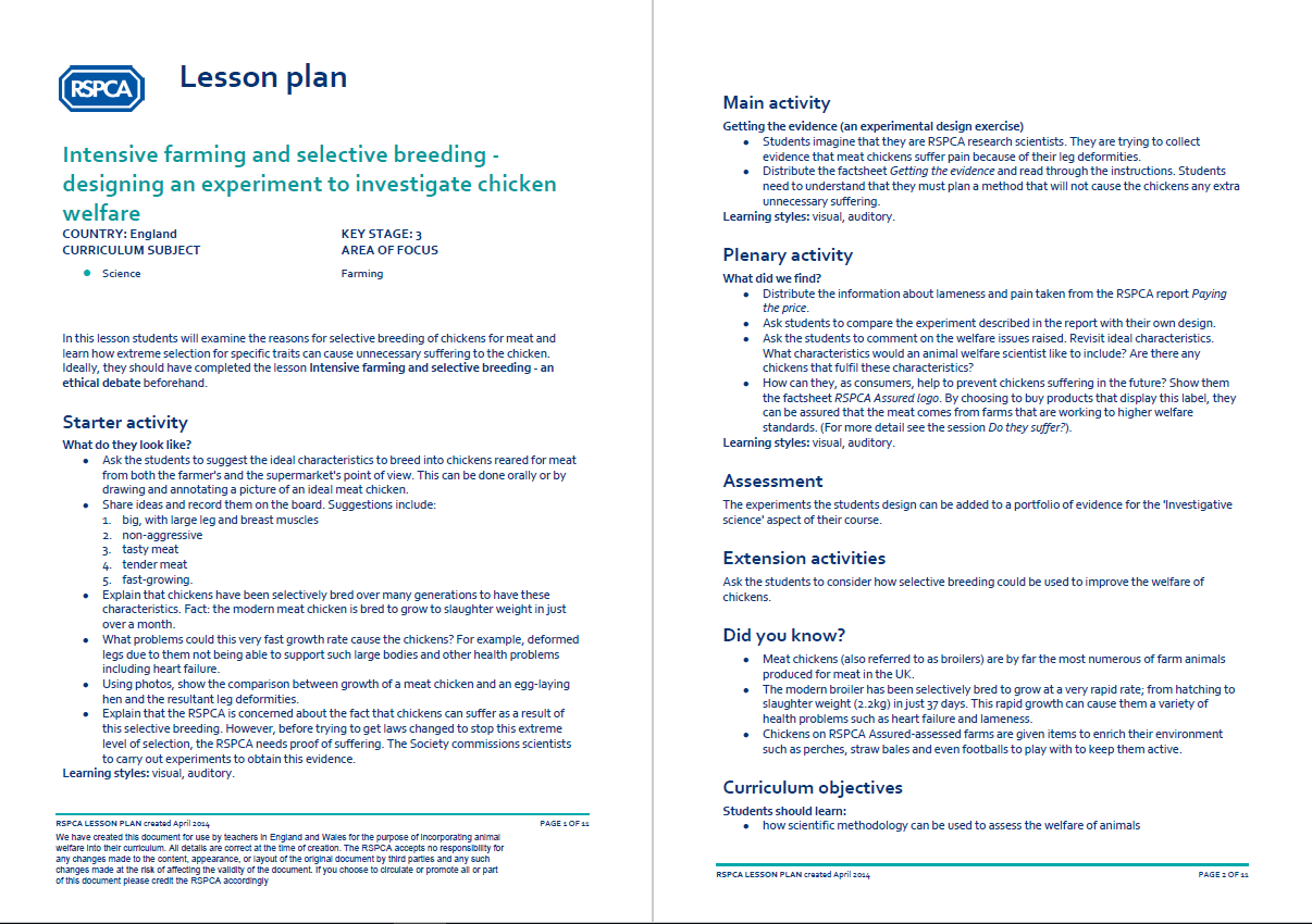 Rspca activities image