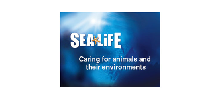 SEA LIFE Classroom Teaching Aids - science/biology resource for KS1