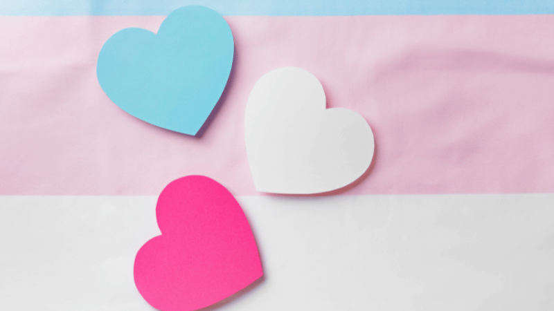 Blue, white and pink hearts representing trans children