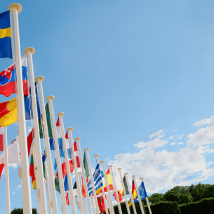 Different nations' flags, representing European Day of Languages