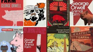 Different cover versions of Animal Farm, a book students can study at GCSE