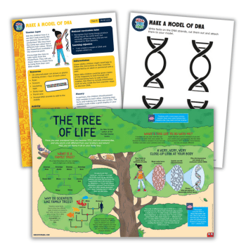 DNA lesson plan