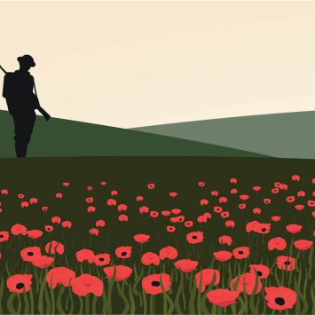 Soldier in poppy field