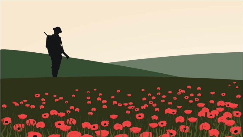 Soldier in poppy field