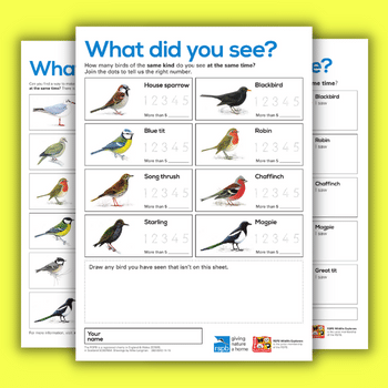 Big Schools Birdwatch counting sheets