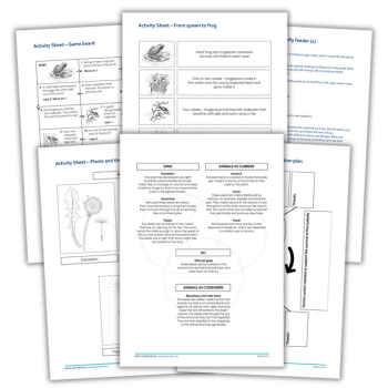 Lifecycle resources