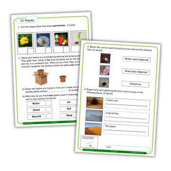 Plants Year 2 science worksheet