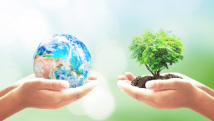 Hands holding planet and tree, representing World Environment Day