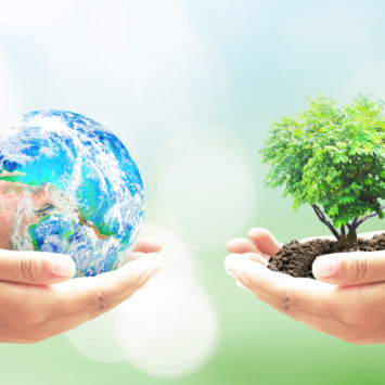 Hands holding planet and tree, representing World Environment Day