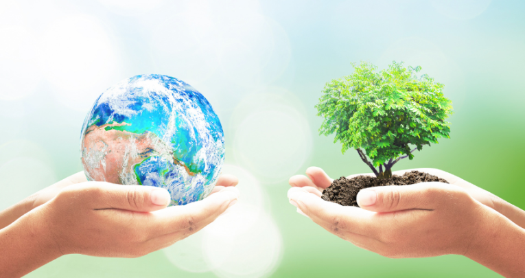 Hands holding planet and tree, representing World Environment Day