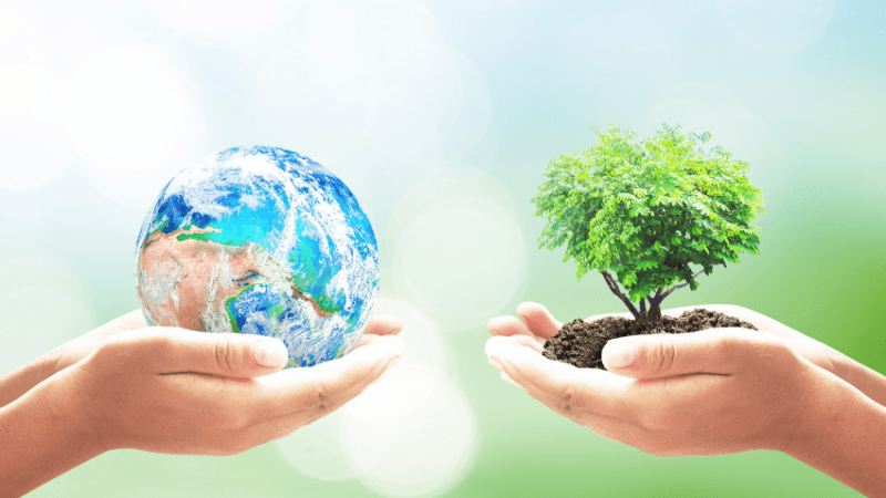 Hands holding planet and tree, representing World Environment Day