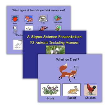 Animals including humans Year 3 PowerPoint