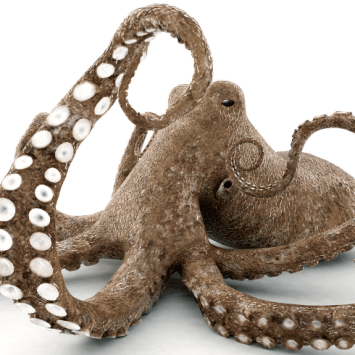 Octopus with eight legs, representing how to teach times tables with real-world examples