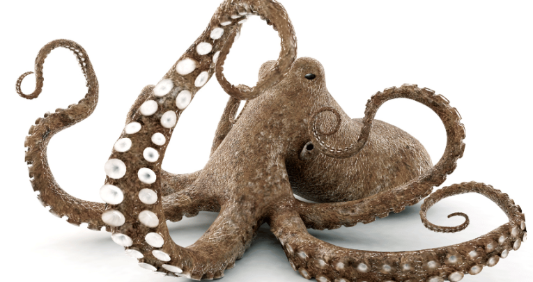 Octopus with eight legs, representing how to teach times tables with real-world examples