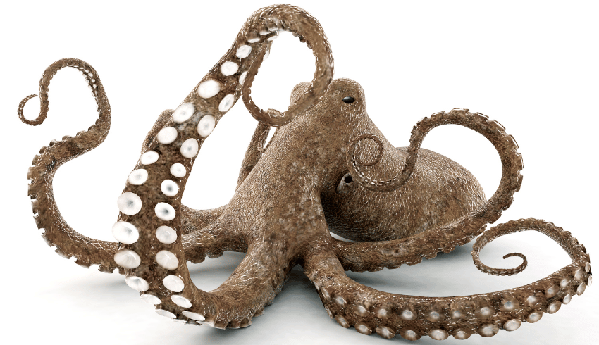 Octopus with eight legs, representing how to teach times tables with real-world examples