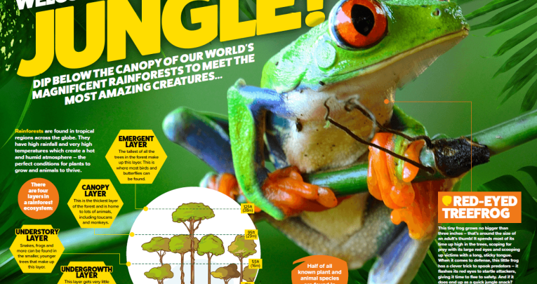 Animal Planet Magazine - Teachwire