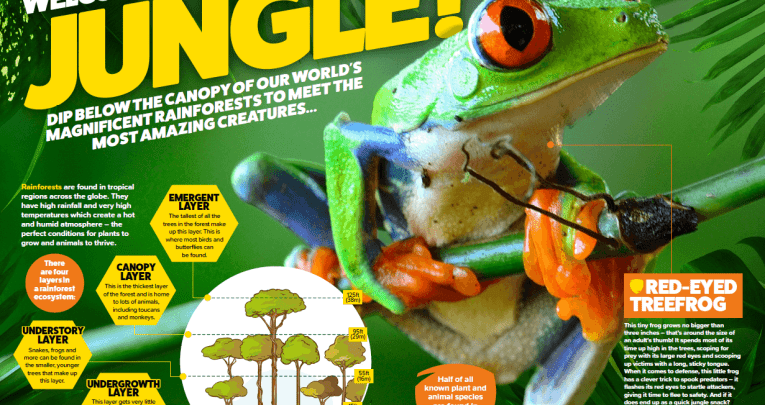 Animal Planet Magazine - Teachwire Animal Planet Magazine - Teachwire