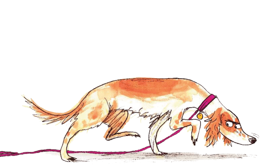 KS1 Book Topic Detective Dog Can Help Discover A Love Of Stories