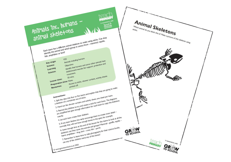 Fossils KS2 outdoor learning activities Teachwire